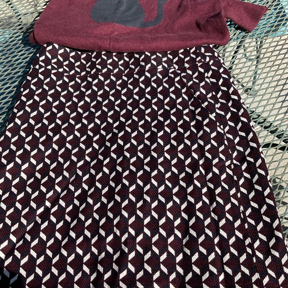 Ann Taylor skirt NWT
